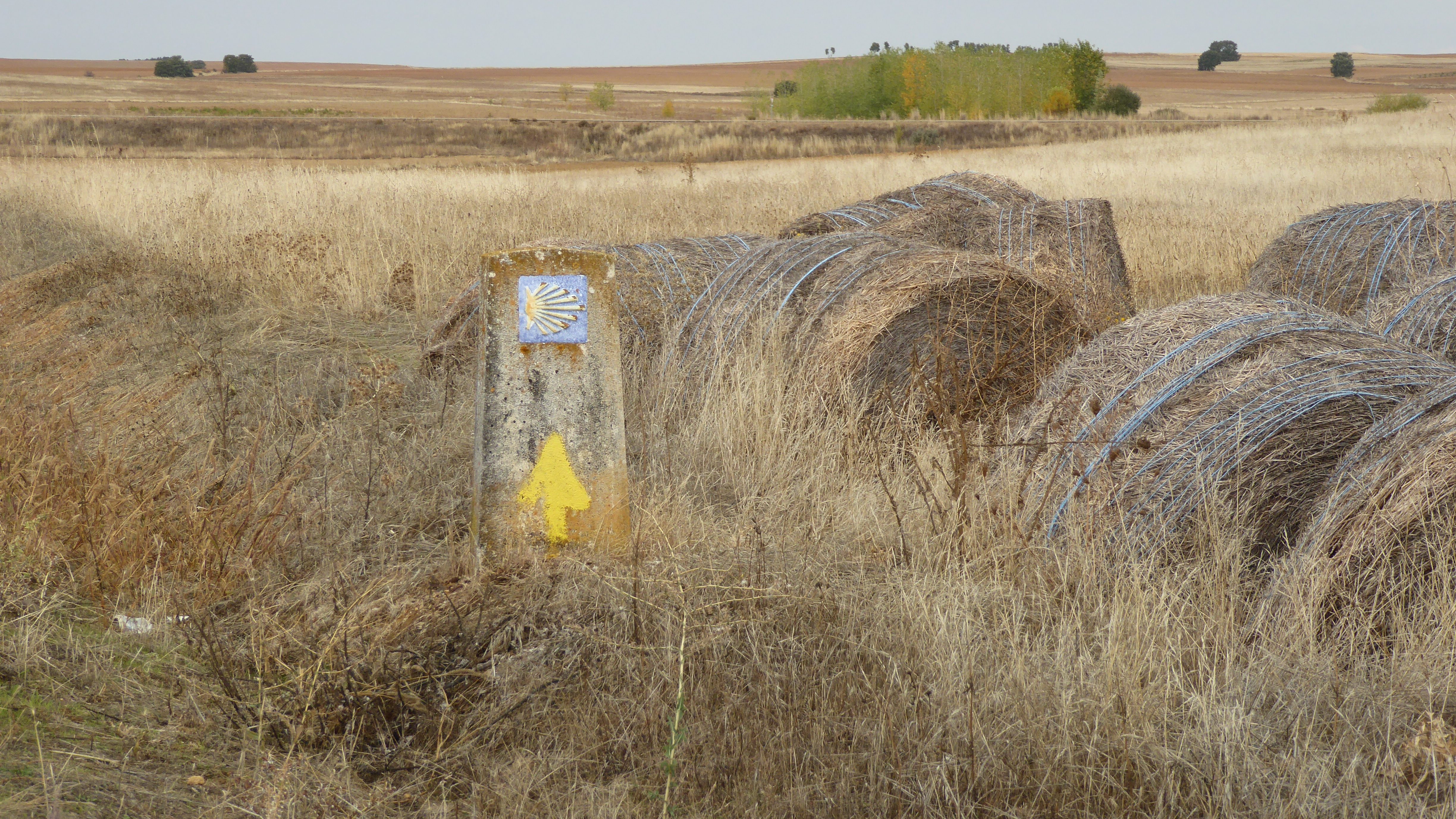 Camino Sign on the Meseta, Spain