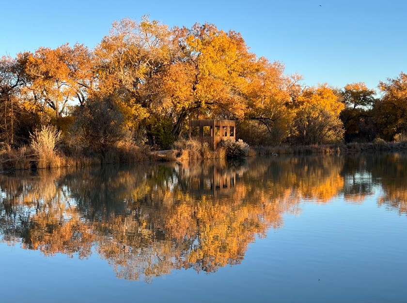 Scenic view of a tranquil pond reflecting vibrant autumn trees and a rustic wooden blind on the shore.